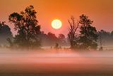 Misty Sunrise_26310